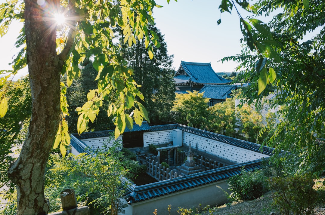 How Much Does Decking Cost in 2026?